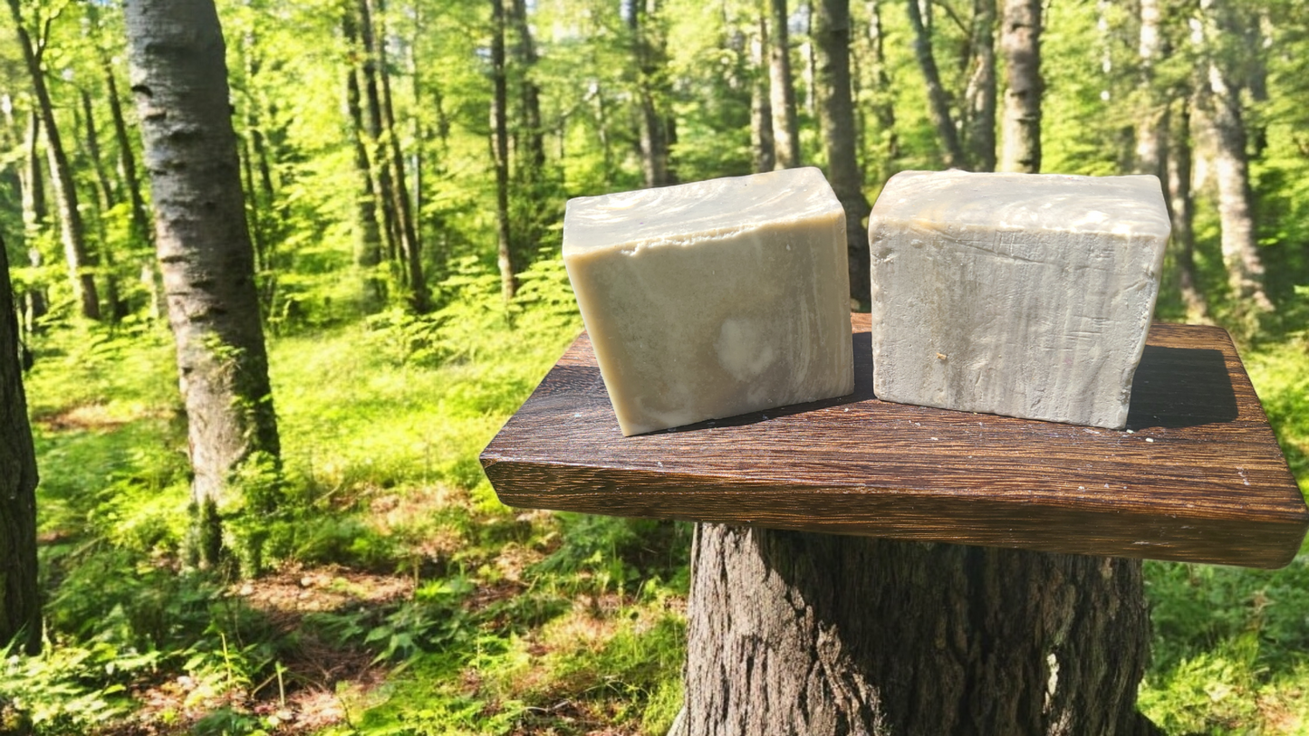 Birchwood Cedar π²πͺ΅