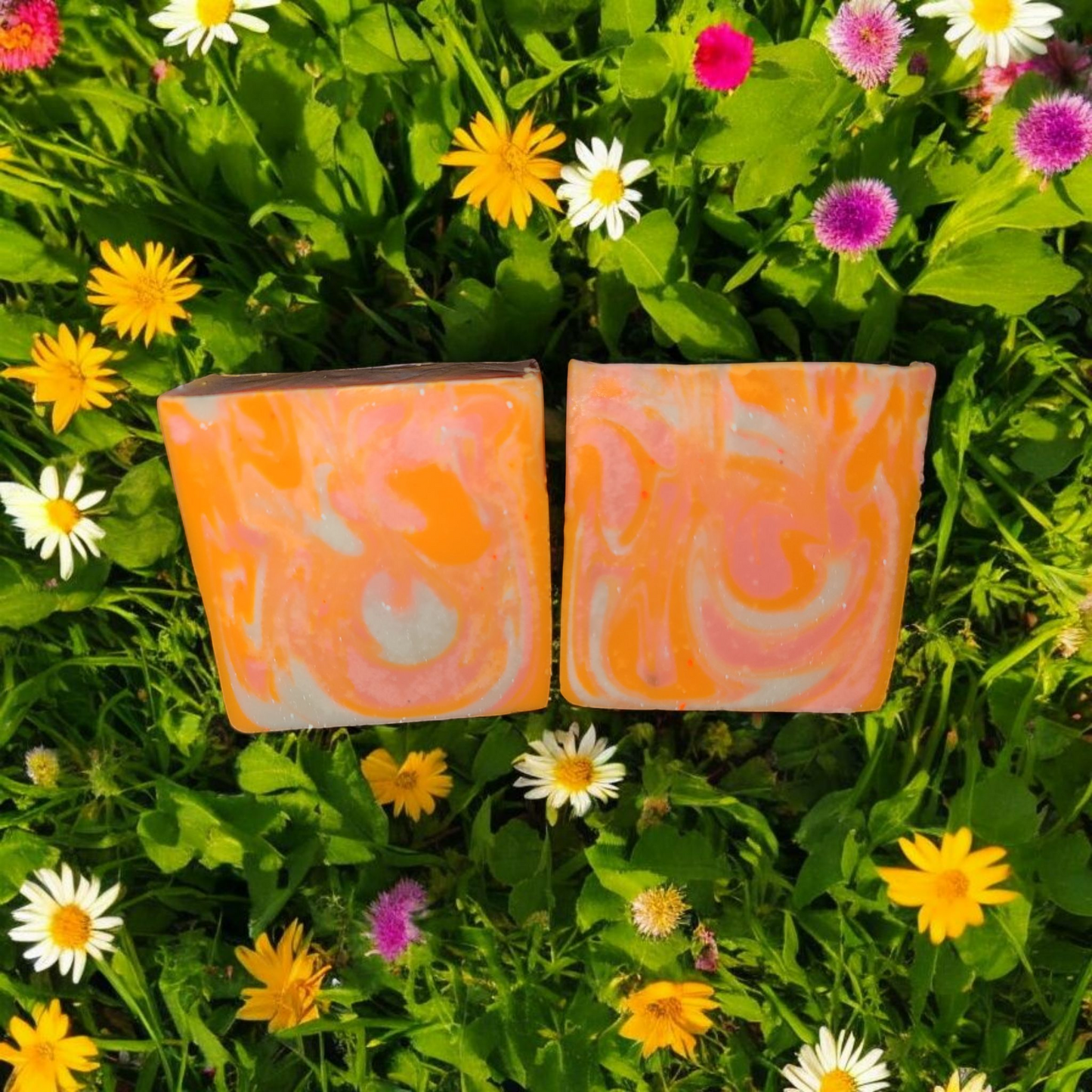 Wind Flower (TCF Version)