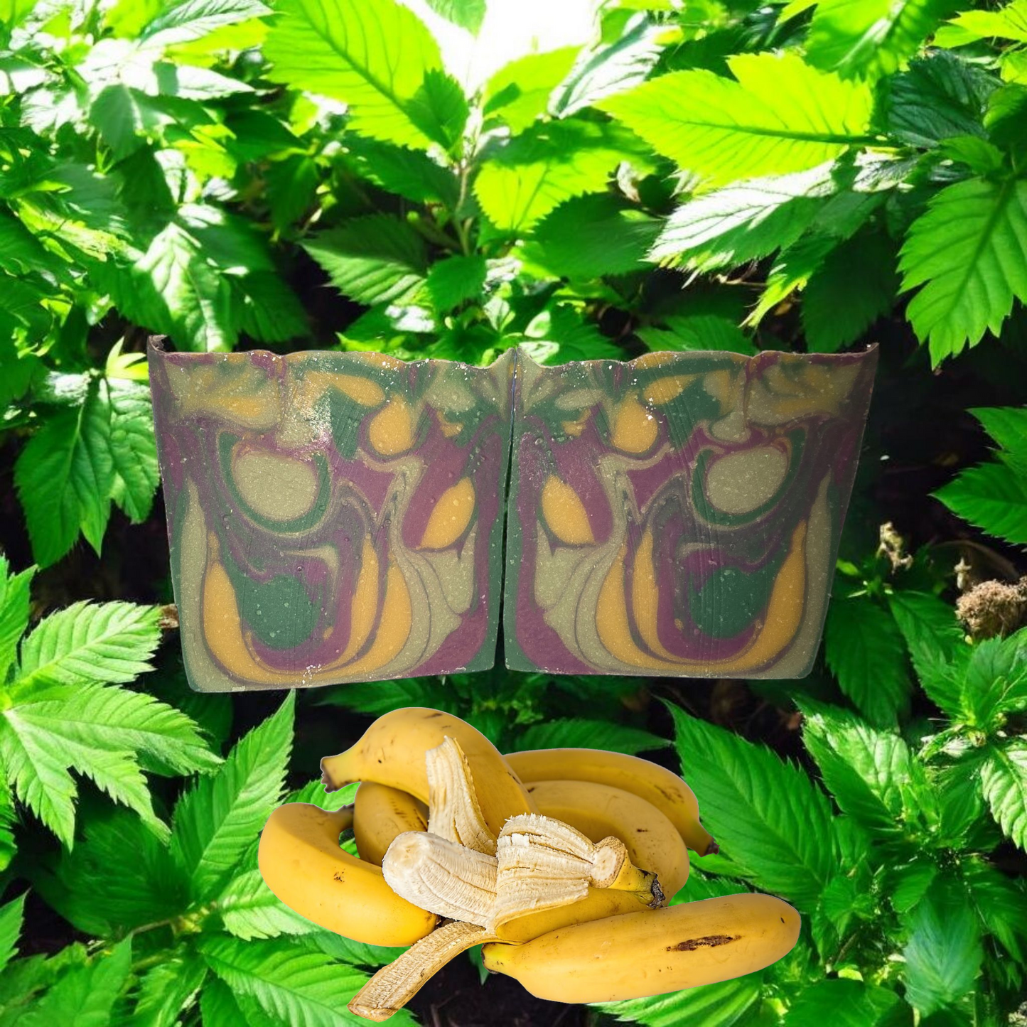 Banana OG 🍌🪴 (A TCF Creation)