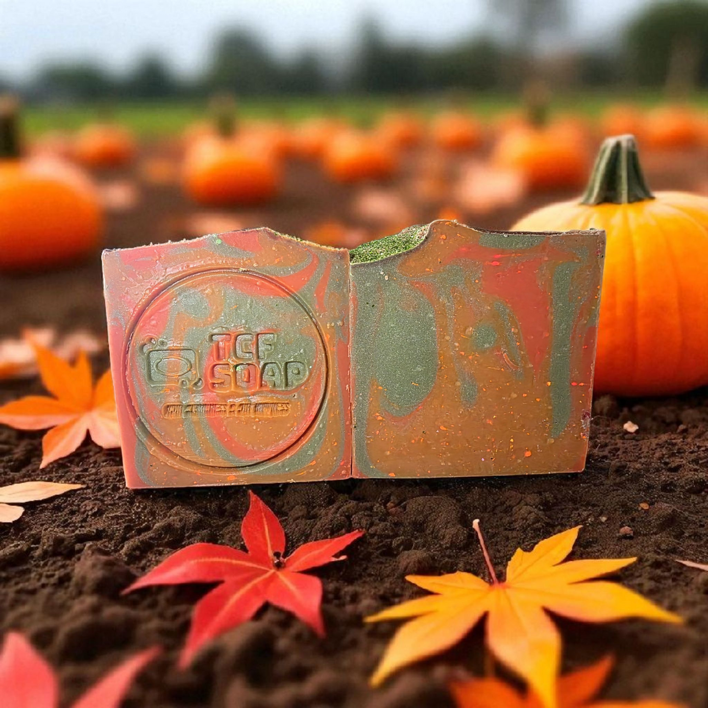 Heirloom Pumpkin 🎃🍂