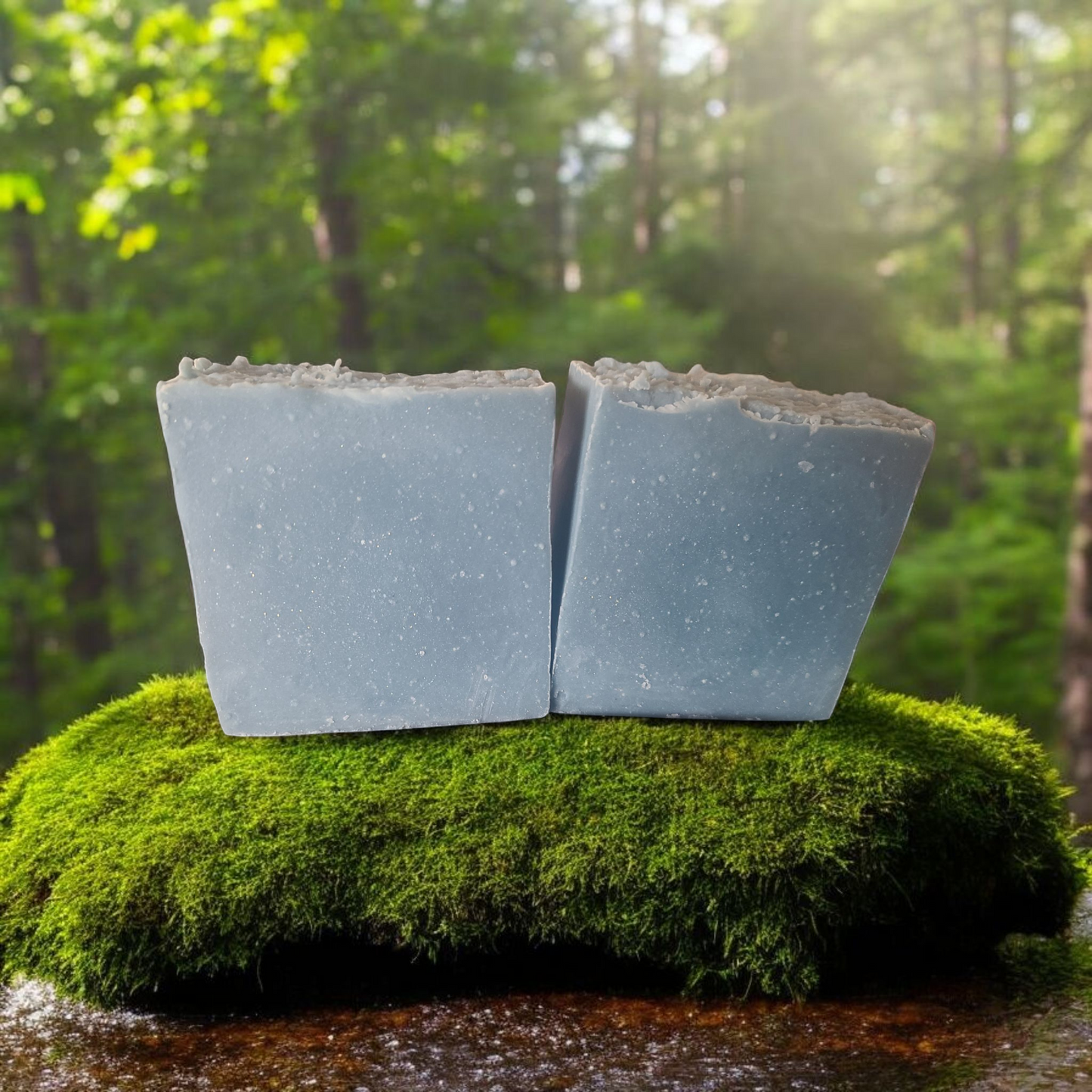 Pacific Northwest 🌲🌊🏔️